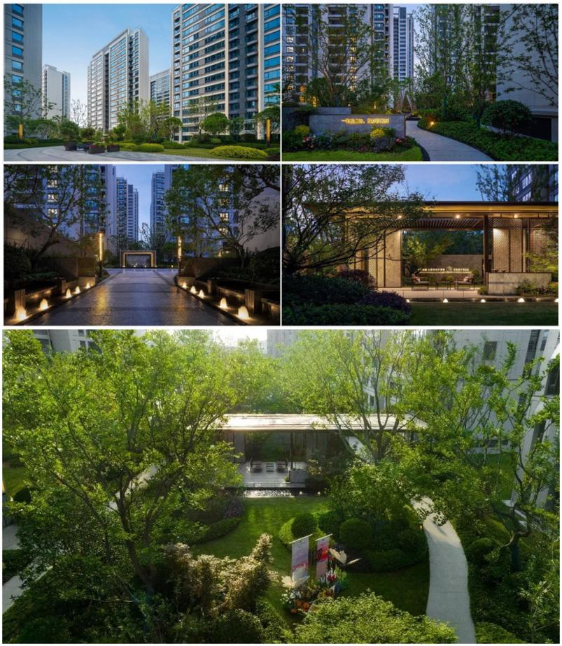 首页- 尊龙集团中国官网入口