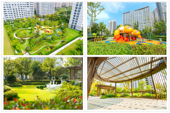 首页- 尊龙集团中国官网入口